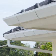 Gutter cleaning