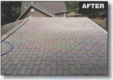 Vital importance professional roof cleaning